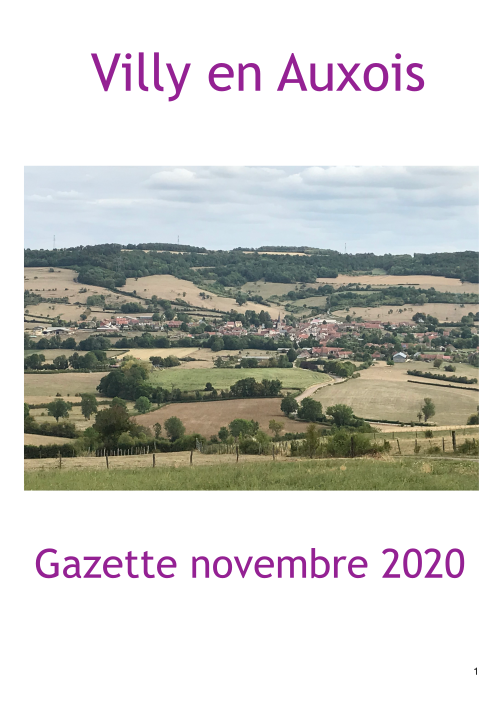 Gazette de Novembre 2020